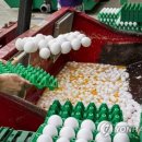 새날농장 이미지