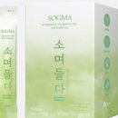 소그마 이미지