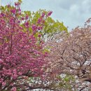 송당리경로당 이미지