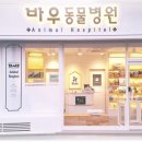 바우동물병원 이미지