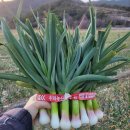 혜은농장 이미지