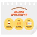 에밀의숲