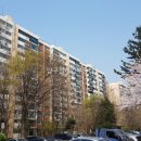 압구정-113 이미지