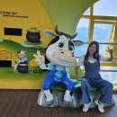 임실치즈테마파크5 이미지