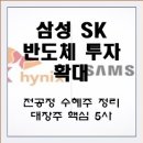 수혜주 정리 대장주 핵심 5사 주가 전망 분석 (원익IPS 주성엔지니어링 HPSP 원익QnC 원익머트리얼즈)