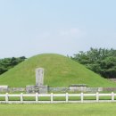 한국씨