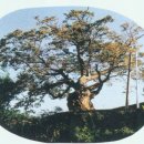 오동마을회관 이미지