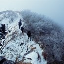 운장산송어횟집 이미지