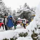 대관령중학교 이미지