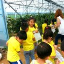 마야어린이집 이미지