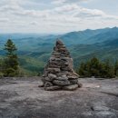 초록숲 하우스 이미지