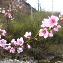 군자3리 이미지