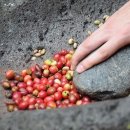 커피이야기 이미지