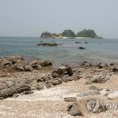 매박섬(토끼섬)