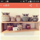 빨강부엉이 이미지