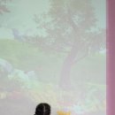 남해하나어린이집 | 아이랑 여름휴가 남해편백자연휴양림 후박나무, 남해힐링숲타운