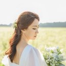 디샵;센티멘탈시너리
