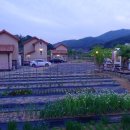 위크팜펜션 이미지