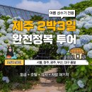 투게더항공여행사