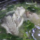 청도횟집 네이버블로그