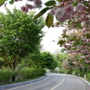 뉴스프링빌골프장 이미지