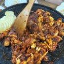 정준오리 이미지