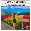 삿포로여행 비에이투어 추천 인디고트래블 후기