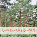 10월27일(일) 천년의 숲. 금강 소나무와 단풍 어흘리 숲길 탐방 이미지