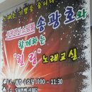 송광호노래교실=선경님의/"카사노바"앗싸 신바람담아요 3월16일 이미지