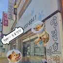 25시 동물병원 | 경기 평택 평택역근처 동물병원 펫25시동물병원 방문후기(토요일, 일요일 진료)