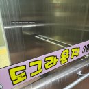 도그에이드 | 남양주 실내+실외 힐링 애견카페 도그라운지