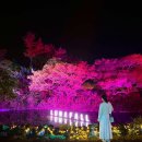 루나폴 | 제주도 서귀포 가볼만한곳 루나폴 제주 야경 명소