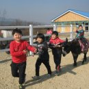 동키캐슬 캠핑장 이미지