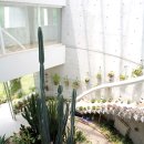 초록화원 이미지