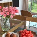 인더플럼 이미지