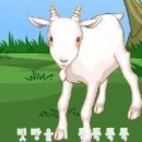 아기염소 이미지