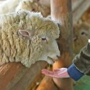 원두막목장 이미지