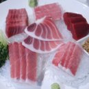 한참치 이미지