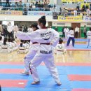 용인대 성민 태권도(반곡관) 이미지