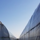 내유농장 이미지