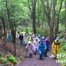 서성로 이미지