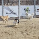 훈트가르텐 이미지