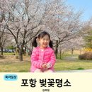 텐퍼센트포항환호점 | 포항 벚꽃 실시간 환호공원 아이랑 다녀온 후기 (준비물 꿀팁)