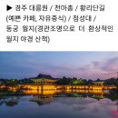 영덕..포항 26년 3.1 이미지