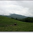 둥둥목장 이미지