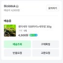 피카나라 | 🫧 #2
