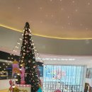 인투필드 이미지