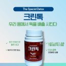 크린독 이미지
