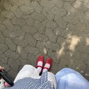 wedding blog. 대전 야외 스냅 촬영 후기 | 엔드라인 스냅
