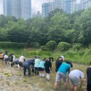 안곡초등학교 이미지